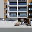 1 bedroom penthouse for sale zakaki limassol 1861342 thumbnail 16193647