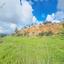 land for sale koili paphos 8397342 thumbnail 14824191