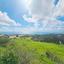 land for sale koili paphos 8397342 thumbnail 14824196