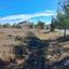 land for sale mitsero nicosia 1336342 thumbnail 3008878