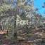 land for sale moniatis limassol 1325342 thumbnail 16268179