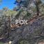 land for sale moniatis limassol 1325342 thumbnail 16268187