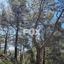 land for sale moniatis limassol 1325342 thumbnail 16268193