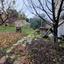 3 bedroom detached house for sale choulou paphos 8630442 thumbnail 15873350