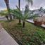 3 bedroom detached house for sale choulou paphos 8630442 thumbnail 15873353