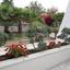 6 bedroom detached house for sale dasoupoli nicosia 1152442 thumbnail 7673845