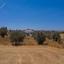 land for sale dali nicosia 826442 thumbnail 14104763