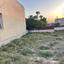 plot for sale livadia larnacas larnaca 1437442 thumbnail 17427558