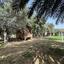 10 bedroom detached house for sale parissinos nicosia 1365542 thumbnail 5234960