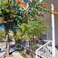 3 bedroom detached house for rent agios andreas nicosia nicosia 8346542 thumbnail 14668357