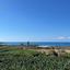 7 bedroom detached house for sale coral bay paphos 8395542 thumbnail 16045498