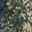 land for sale koilani limassol 8628542 thumbnail 16530225