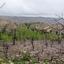 land for sale koilani limassol 8628542 thumbnail 16530229