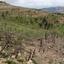 land for sale koilani limassol 8628542 thumbnail 16530232