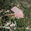 land for sale moniatis limassol 1501542 thumbnail 17176327
