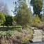 land for sale polemi paphos 8244542 thumbnail 15596284