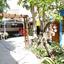 2 bedroom semi detached bungalow for sale larnaca municipality larnaca 1306642 thumbnail 13939436