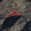 land for sale kampi nicosia 1761642 thumbnail 15597785