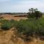 land for sale paralimni famagusta 1800642 thumbnail 6109587