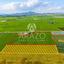 land for sale softades larnaca 8524642 thumbnail 16973542