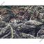 land for sale vavla larnaca 8168642 thumbnail 13528595