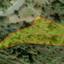 3679 SQM Land for sale in Lagoudera, Nicosia thumbnail 16168935