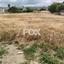 land for sale emba paphos 1780742 thumbnail 14022718