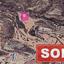 land sold skarinou larnaca 1171742 thumbnail 2608503