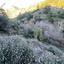 land for sale farmakas nicosia 1759842 thumbnail 15597898