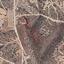land for sale maroni larnaca 830842 thumbnail 1057064