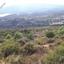 land for sale ora larnaca 945842 thumbnail 15603480