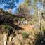 plot for sale kato platres limassol 1649842 thumbnail 15182045