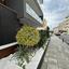 2 bedroom apartment for sale sotiros agios ioannis larnaca larnaca 7819942 thumbnail 15743349