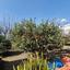 4 bedroom detached house for sale kiti larnaca 8441942 thumbnail 15291565