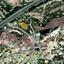 land for sale anglisides larnaca 8115942 thumbnail 13281122