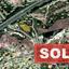 land sold anglisides larnaca 8115942 thumbnail 13281122
