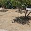 2 bedroom detached house for sale pallouriotissa nicosia 8740052 thumbnail 16377738
