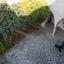 4 bedroom detached house for sale flasou nicosia 1846052 thumbnail 16333237