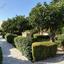 3 bedroom town house for sale mandria pafou paphos 8395152 thumbnail 16040979