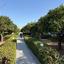3 bedroom town house for sale mandria pafou paphos 8395152 thumbnail 16040980
