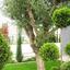 6 bedroom detached house for sale moni limassol 1137152 thumbnail 15162107