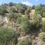land for sale kallepeia paphos 7533152 thumbnail 15597455
