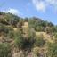 land for sale kallepeia paphos 7533152 thumbnail 15597456