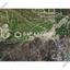 land for sale kornos larnaca 1688152 thumbnail 6008971