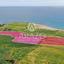 land for sale mazotos larnaca 1279152 thumbnail 12955820