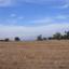 land for sale poli chrysochous paphos 828152 thumbnail 15178861