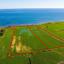 land for sale softades larnaca 8509152 thumbnail 15350621