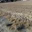 plot for sale pyla larnaca 7913152 thumbnail 11228946