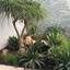 6 bedroom detached house for sale ayia napa famagusta 1281252 thumbnail 5285221