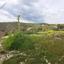 land for sale alampra nicosia 1151252 thumbnail 5131069